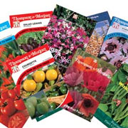Free 10 packets of Lucky Dip Seed
