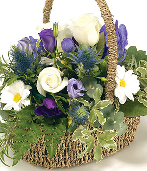 Basket - Purple, Blue And White