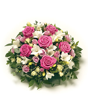 Posy - Pink and White 
