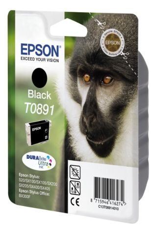 Epson T0891 Original Black Cartridge 